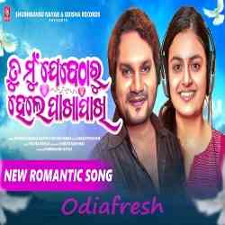 Tu Mun Jebetharu Hele Pakha Pakhi